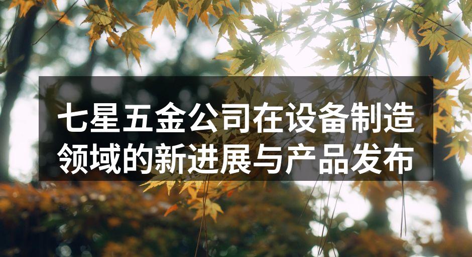 七星五金公司的新设备展示